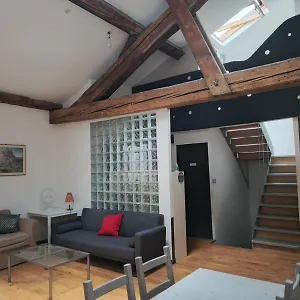 Loft Viarhona, Grand Loft En Centre-ville Alloggio in famiglia Lione